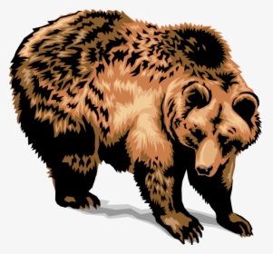 Vector Illustration Of Large Brown Grizzly Bear - Transparent Grizzly Bear Clipart, HD Png Download, Free Download