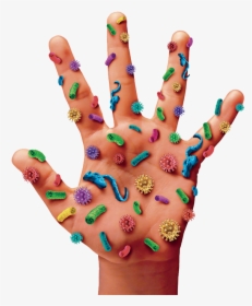 People Who Dont Wash Their Hands, HD Png Download, Free Download