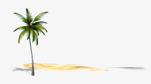 Attalea Speciosa, HD Png Download, Free Download