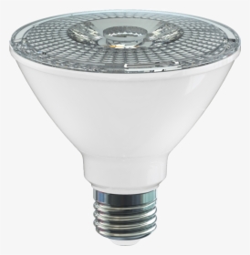 Led Lights Png, Transparent Png, Free Download