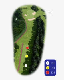 1st Hole Billing - Artificial Turf, HD Png Download, Free Download