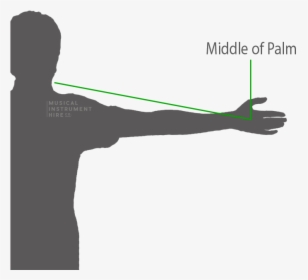 Violin Measurement - What Size - Silhouette, HD Png Download, Free Download