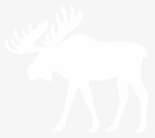 Images In Collection Page - Reindeer, HD Png Download, Free Download