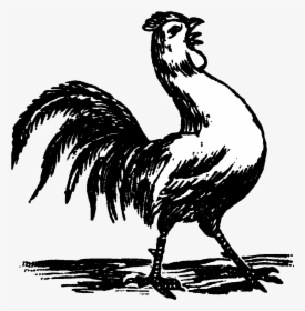 Easy Rooster Crowing Drawing, HD Png Download, Free Download