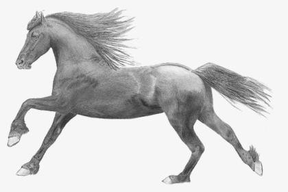 Figure,mare,mustang Horse,sorrel,black And Character - Wild Horses Transparent Background, HD Png Download, Free Download