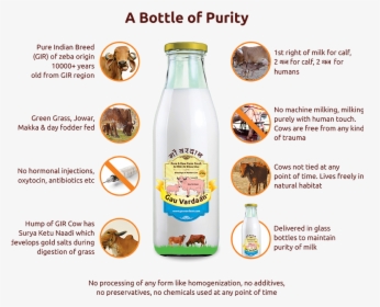 A Bottle Of Purity - Subscription Milk, HD Png Download, Free Download