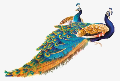 Peacock Feather Png Hd, Transparent Png, Free Download