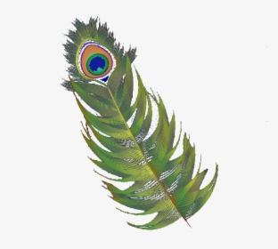 Transparent Feathers Abstract - Feather, HD Png Download, Free Download