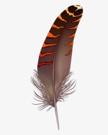 Brown Png Art Gallery - Feather Png Transparent, Png Download, Free Download