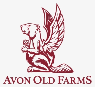 Avon Old Farms Beaver, HD Png Download, Free Download