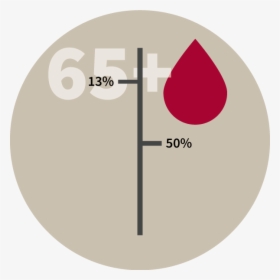 Blood Donation Facts Donors 65 And Older Make Up 13% - Circle, HD Png Download, Free Download