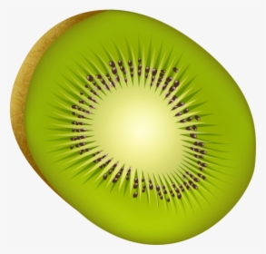 Kiwi Fruit Png Image Free Download Searchpng - Kiwifruit, Transparent Png, Free Download