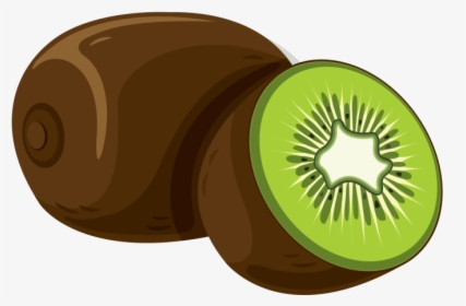 Kiwi Fruit Clip Art Png - Kiwifruit, Transparent Png, Free Download