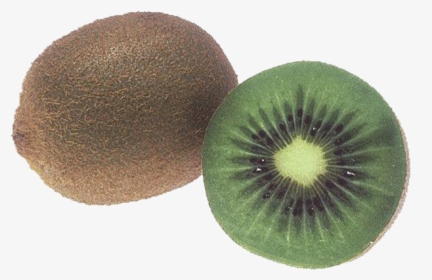#moodboard #polyvore #png #polyvorepng #food #fruit - Kiwi Dark Green Inside, Transparent Png, Free Download