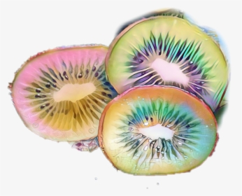 #kiwi #fruit #summersun #love #rainbow - Kiwifruit, HD Png Download, Free Download
