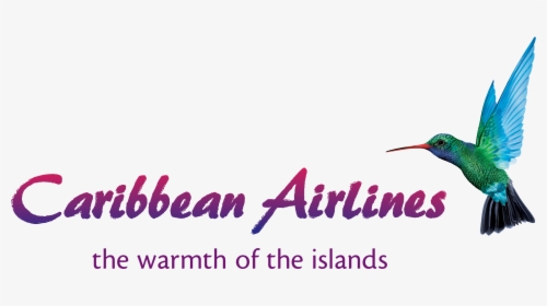 Caribbean Airlines Logo, HD Png Download, Free Download