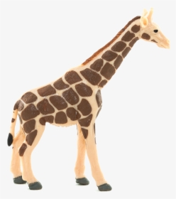 Translucent Background Giraffe, HD Png Download, Free Download