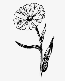 Black And White Clipart Flower Tattoo, HD Png Download, Free Download