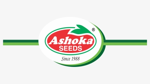 Label, HD Png Download, Free Download