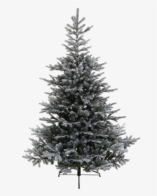 #tree #trees #christmas #christmastree #winter #snow - Black And Grey Christmas Tree, HD Png Download, Free Download