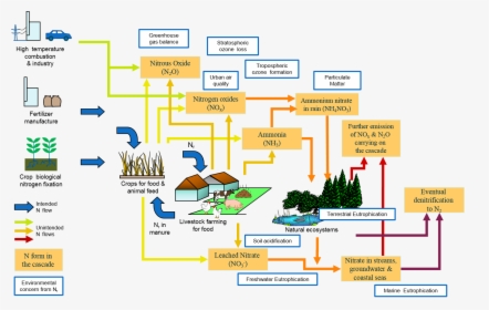 Models Of Nitrogen Cascade, HD Png Download, Free Download