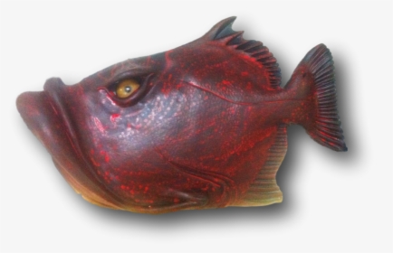 Fish With Attitude - Sockeye Salmon, HD Png Download, Free Download