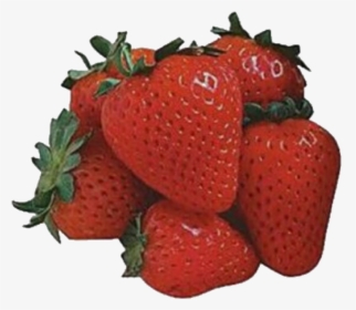 Aesthetic Strawberry Pfp, HD Png Download, Free Download