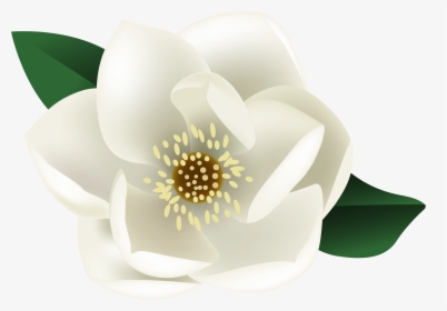 Lotus Tattoos Clipart Magnolia - Transparent Magnolia Clip Art, HD Png Download, Free Download