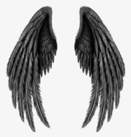 Asas Png Tumblr - Black Angel Wings Png, Transparent Png, Free Download