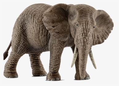 Elephants Png Pic - Schleich Animals, Transparent Png, Free Download