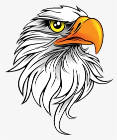 Eagle Save Png - Transparent Background Eagle Icon Png, Png Download, Free Download