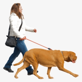 People Walking Dogs Png - People Walking With Dog Png, Transparent Png, Free Download