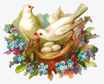 Antique Images Free Digital - Bird Nest, HD Png Download, Free Download