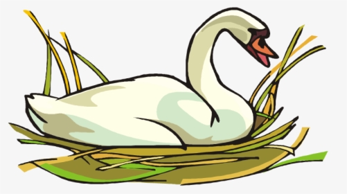 Swan Clip Art - Free Clipart Swan, HD Png Download, Free Download