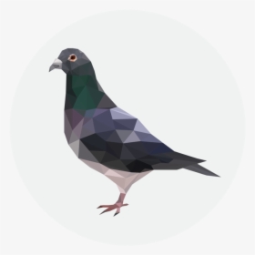 Pigeon Transparent Background - Polygonal Pigeon, HD Png Download, Free Download