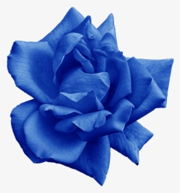 Png File Size - Blue Rose, Transparent Png, Free Download