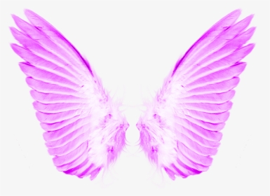 Wings Png For Photoshop, Transparent Png, Free Download