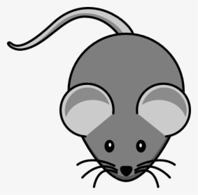 Small Clipart Mouse - Mouse Clipart, HD Png Download, Free Download