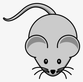 Small Clipart Mouse - Mouse Clipart Free, HD Png Download, Free Download