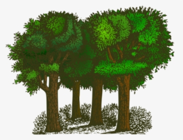 Trees Clipart, HD Png Download, Free Download
