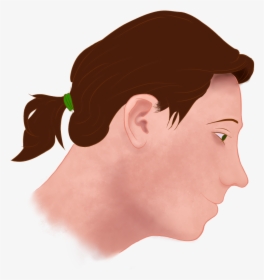 Illustration, HD Png Download, Free Download