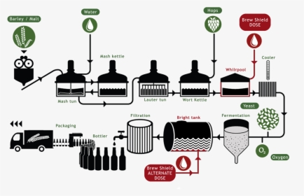 Brewery Process Flow Chart, HD Png Download, Free Download