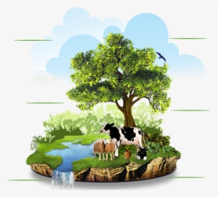 Organic Farming In India - Organic Farming Png, Transparent Png, Free Download