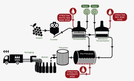 Brewing Process Png, Transparent Png, Free Download