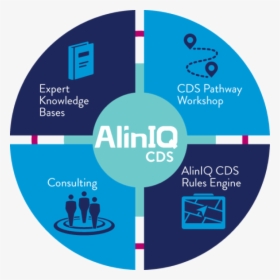 Aliniq Clinical Decision Making Wheel Image - Aliniq Cds, HD Png Download, Free Download