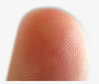 Decision Png, Transparent Png, Free Download