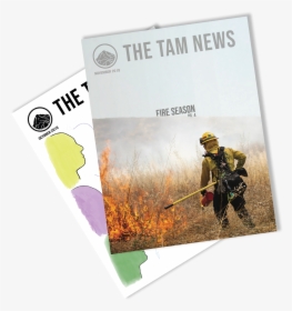 Tam News November - Soldier, HD Png Download, Free Download