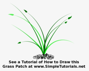 Grass, Patch Of Grass - Grass, HD Png Download, Free Download