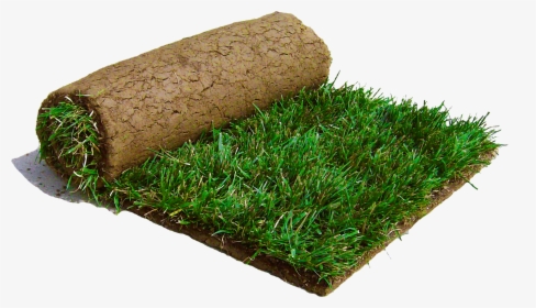 Saw A Patch Of Sod Laying On The Road - Sod Png, Transparent Png, Free Download
