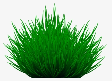 Path Clipart Grass Path - Herbaceous Plant, HD Png Download, Free Download